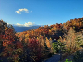 3 Decks, Mtn Views! Tree Tops by HoneyBearCabins - Luxury Rain Showers, 3 King suites, XL HotTub, Fireplace, Bear Sightings